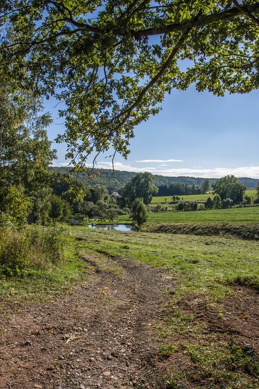 Landhotel Gutshof Hartenstein (Saxony) Quarto foto