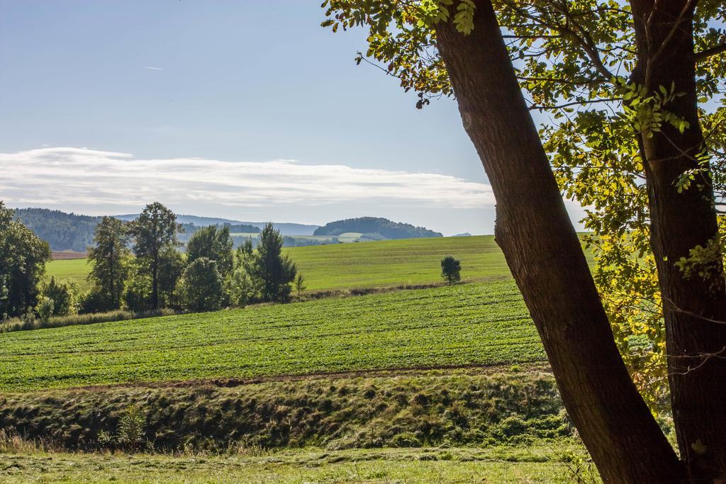 Landhotel Gutshof Hartenstein (Saxony) Quarto foto